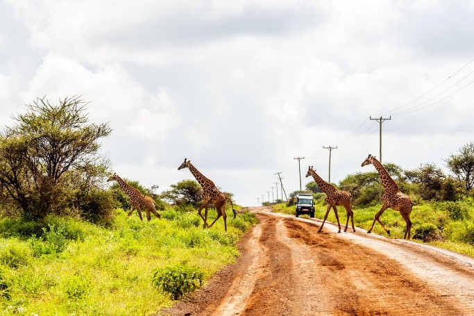 Kenia, Tanzania, Zanzibar - Safari z wypoczynkiem