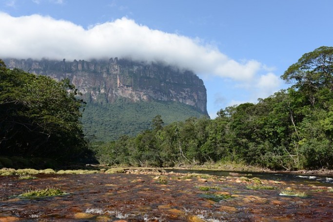 Wenezuela wycieczka objazdowa - Indianie, dżungla, wodospady (RBZ)