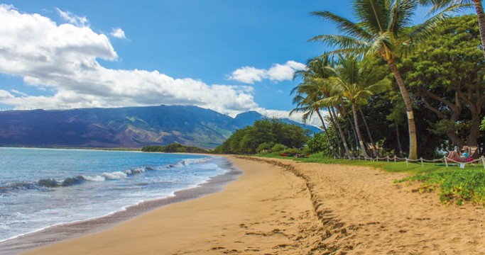 Wycieczka na Hawaje - plaża