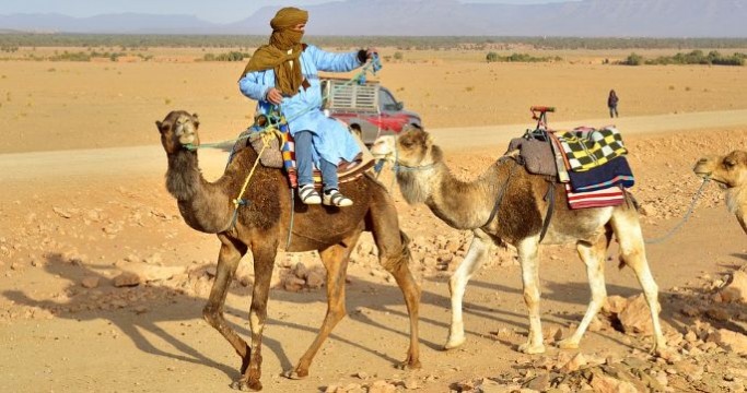 Wycieczka objazdowa Maroko - Cesarskie Miasta